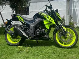 DAYTONA | WOLF 250 | 2025