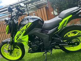 DAYTONA | WOLF 250 | 2025