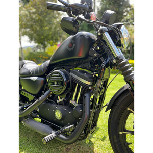 Harley_Davidson_Sportster_Iron_883_2020