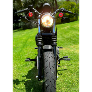 Harley_Davidson_Sportster_Iron_883_2020